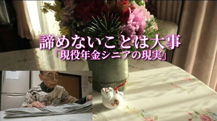 諦めないことは大事「現役年金シニアの現実」