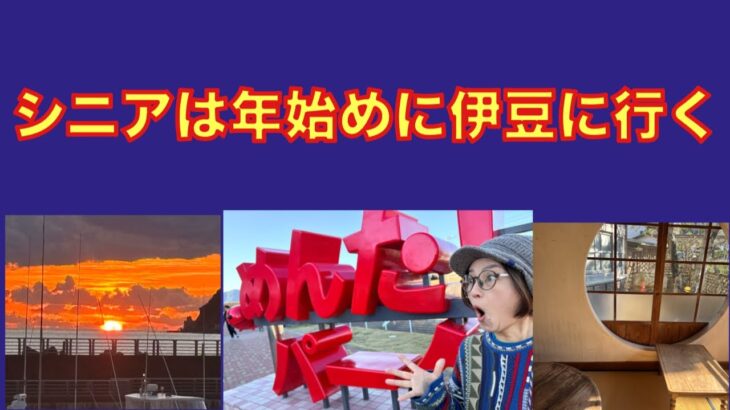 【シニア夫婦】金谷旅館の温泉を堪能し下田伊東園ホテルはな岬でカニを食べる