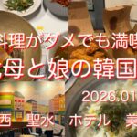 【韓国旅行パート①】1月母娘のソウル旅🇰🇷