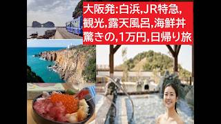 【関西日帰り旅行】大阪発！1万円で白浜日帰り! JR西日本「tabiwa」プラン検証。5,000円お得な最強ルート発見