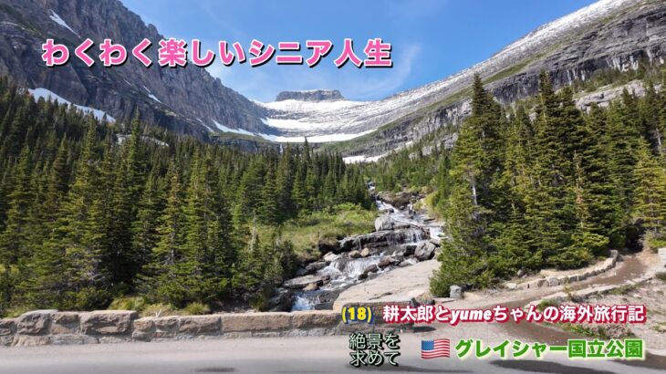 (18)【アメリカ/グレイシャー国立公園】シニアの旅行体験シリーズ話。意外に重いビッグホーンシープの角。