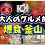 【爆食・釜山】大人のグルメ旅  #2 ウニユッケ・激旨カニ ・絶品焼肉　2025.冬