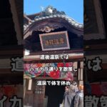 シニア夫婦 五泊六日 しまなみ海道の旅｜20年ぶりの飛行機で松山・道後温泉へ #シニア　 #しまなみ海道　 #shorts