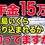 ˚⊱🪷⊰˚【2025年最新版】ヤバすぎる   年金月15万円から税金と社会保険料がこんなに天引きされてます！˚⊱🪷⊰˚