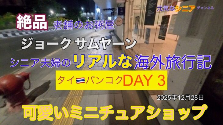 2025年12月　シニア夫婦のリアルな海外旅行記　Day 3