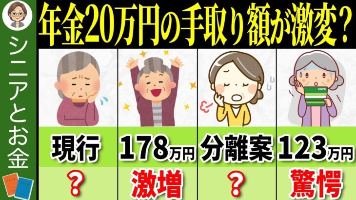 🌸【2025年1月最新版】年金20万円の場合、年収の壁が103万円から変わると手取り額はこんなに増えるの？計算方法を徹底解説！🌸