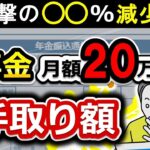 🌸【衝撃】◯◯%減少！年金20万円の手取り額！なぜ、減少！？金から引かれるお金5つ！年収別にまるっと解説⧸令和6年11月⧸最新版⧸単身⧸夫婦⧸国民年金⧸厚生年金⧸まだ間に合う！年金額を増やす方🌸