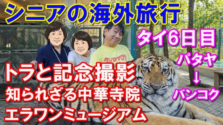 【220歳のシニア海外旅行｜タイ6日目】トラと撮影した後、知られざる中華寺院へ…そしてエラワンミュージアム