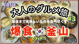 【爆食・釜山】大人のグルメ旅 #3絶品カンジャンケジャン・チヂミ・いろいろ