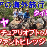 【シニアの海外旅行】3人合わせて220歳のシニアがタイで象に乗った日｜パタヤ「サンクチュアリ・オブ・トゥルース」とエレファントビレッジ