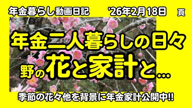 3b【年金二人暮らしの日々】野の花と家計と…反面教師！／嬉しい無料！／背景:枝垂れ梅花8種他 #パン爺,#シニアvlog, #vlog,#50代,#60代,#70代,#年金暮らし,#九州,#熊本,