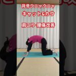 背骨クニャクニャ　#ヨガ #シニア体操 #肩こり #腰痛 #50代 #60代 #キャット&カウ