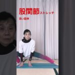 股関節ストレッチ  #ヨガ #シニアヨガ #シニア体操 #イチロー #四股ストレッチ #前屈 #屈伸 #50代 #60代 #腰痛