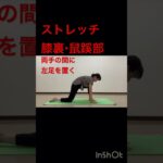 ストレッチ 膝裏・鼠蹊部  #シニアヨガ #シニア体操  #50代  #60代  #ヨガ #ストレッチ  #膝裏 #鼠蹊部  #腰痛