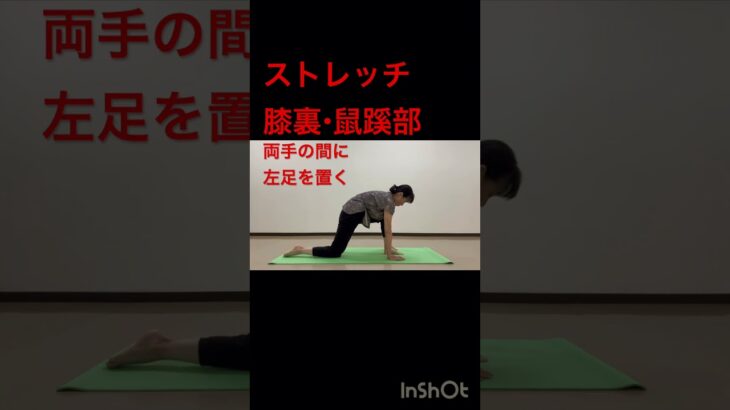 ストレッチ 膝裏・鼠蹊部  #シニアヨガ #シニア体操  #50代  #60代  #ヨガ #ストレッチ  #膝裏 #鼠蹊部  #腰痛