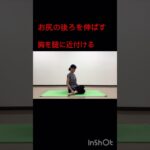 お尻の後ろを伸ばす　#ヨガ #シニアヨガ #シニア体操 #体操 #50代 #60代代 #腰痛 #ストレッチ #肩こり