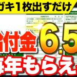 【まだ間に合う!】毎年6 5万円が年金に一生上乗せ！年金支援者給付金について徹底解説！【年金・給付金】