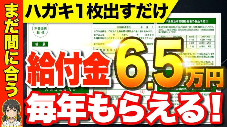 【まだ間に合う!】毎年6 5万円が年金に一生上乗せ！年金支援者給付金について徹底解説！【年金・給付金】