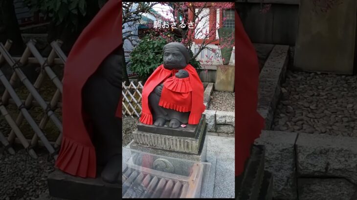 【日枝神社】60代夫婦登山　山に行けない週末は、街歩き#シニア# 旅行 #ハイキングウォーキング