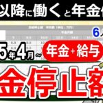🌸【要注意】60歳以降に働くと年金停止！？勘違い続出の在職老齢年金！年金＋給与=◯◯万円はいくら年金停止？2025年4月改訂版の早見表あり！基本〜対策方法までわかりやすく解説！🌸