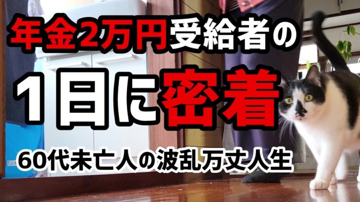 【60代一人暮らし】年金2万円受給者の1日に密着【シニアVlog】
