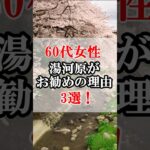 60代女性湯河原がお勧めの理由！#60代女性 #旅行 #シニアライフ #60歳代 #雑学 #60代 #旅 #シニアライフ60代 #シニア旅行