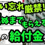 老後の年金 65歳以降の老後の給付金の重要性と死ぬまでもらえる老後の給付金!!申請するだけ!!