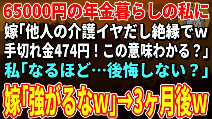 【スカッとする話】65000円の年金暮らしの私に嫁「他人の介護イヤだし絶縁でｗ手切れ金474円！この意味わかる？」私「なるほど…後悔しない？」嫁「強がるなｗ」→絶縁して3ヶ月後ｗ【朗読】【シニア】