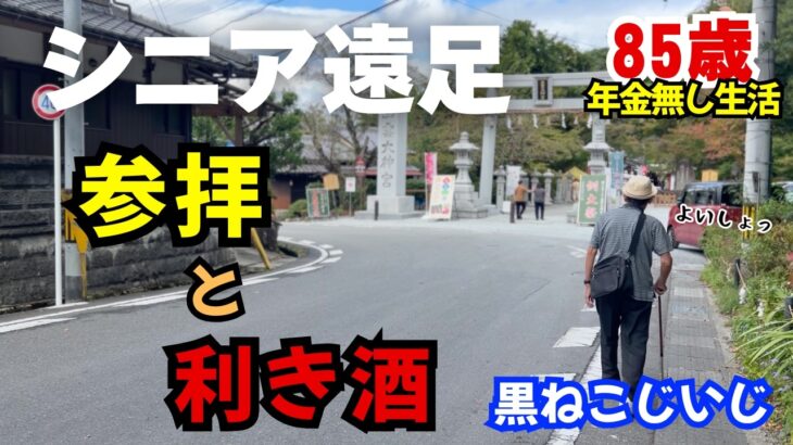 【85歳お出かけ】３世代初のシニア遠足🚗亀岡　#年金なし #老後 #低所得