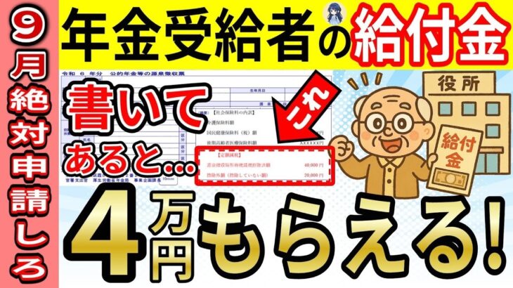 ˚⊱🪷⊰˚【年金受給者向け最新給付金】政府から9月に年金＋4万円もらえる！ 定額減税 不足額給付を完全解説！源泉徴収票の赤枠を今すぐチェックしてください！˚⊱🪷⊰˚