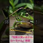 松阪市 シニア向けスマホ活用教室 AIが毎日の困りごとをやさしく解決 活力アップ #shorts