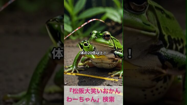 松阪市 シニア向けスマホ活用教室 AIが毎日の困りごとをやさしく解決 活力アップ #shorts