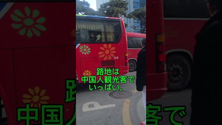 #益善洞 #春節 #ソウル散歩 #韓国旅行 #大人旅 #シニア旅 #旅の記録 #街の風景 #人生と旅#KoreaTravel #Ikseondong #Shorts