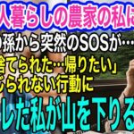 山奥で年金一人暮らしの農家の私に、小学生の孫から突然のSOS「ママに捨てられた…おうちに帰りたい」→嫁の信じられない行動にブチギレた私が山を下りると…ｗ【スカッとする話・年金シニア生活】