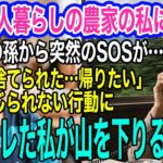 山奥で年金一人暮らしの農家の私に、小学生の孫から突然のSOS「ママに捨てられた…おうちに帰りたい」→嫁の信じられない行動にブチギレた私が山を下りると…ｗ【スカッとする話・年金シニア生活】
