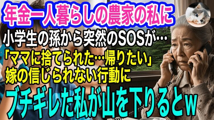 山奥で年金一人暮らしの農家の私に、小学生の孫から突然のSOS「ママに捨てられた…おうちに帰りたい」→嫁の信じられない行動にブチギレた私が山を下りると…ｗ【スカッとする話・年金シニア生活】