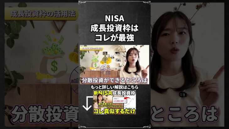 【nisa 成長投資枠】ニーサの成長投資枠おすすめはコレ