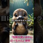 松阪市 シニア向けスマホ活用教室 写真から簡単に動画が作れる時代 無料アプリを使う #shorts