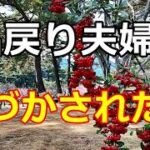 【シニアライフ】のらりくらり年金生活 ７２歳！出戻り夫婦が学び気づかされた事  【のらりくらり年金生活チャンネル】