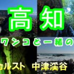 【６０代シニア旅】高知の四国カルスト 中津渓谷 龍河洞をドライブ！