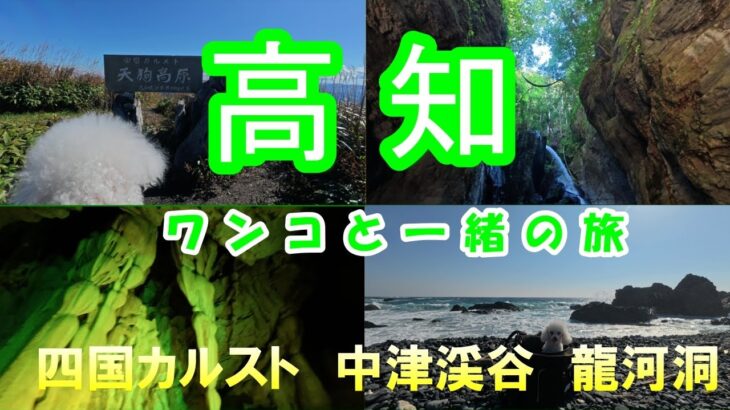 【６０代シニア旅】高知の四国カルスト 中津渓谷 龍河洞をドライブ！