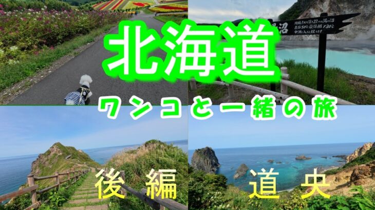 【６０代シニア旅】北海道（後編）の道央をドライブ！