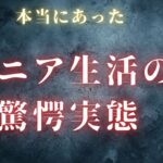 定年退職後のシニア生活の実態！