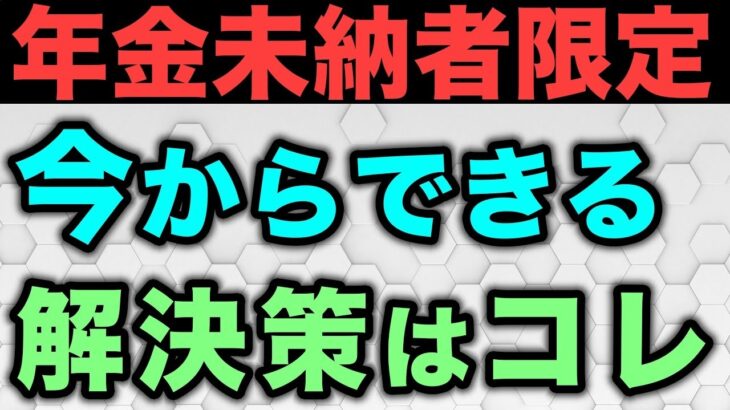 🎏【年金未納】国民年金の保険料に未納があった場合はどうしたらいいのか？🎏
