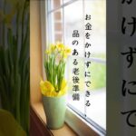 お金をかけずにできる、品のある老後準備#老後準備 #人生アドバイス #品のある生き方 #自己成長 #人間関係 #心構え