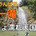 【シニア女子の沖縄旅】もっと早く行けばよかった！秘境「ター滝」で本気のリバートレッキング。これぞ大人の天然テーマパーク！