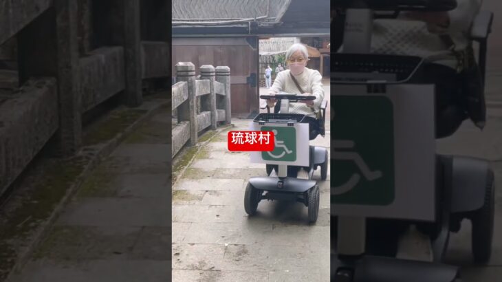 沖縄琉球村 #沖縄旅行 #最強 #シニア旅行 #電動車椅子 #国際通り