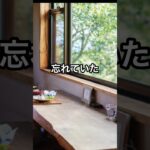 あれ!これってやばい #シニアの暮らし #年金 #ビットコイン #仮想通貨