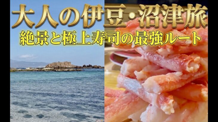 【大人の伊豆旅】息を呑む絶景と、沼津の「こぼれカニ寿司」を堪能する最高の休日