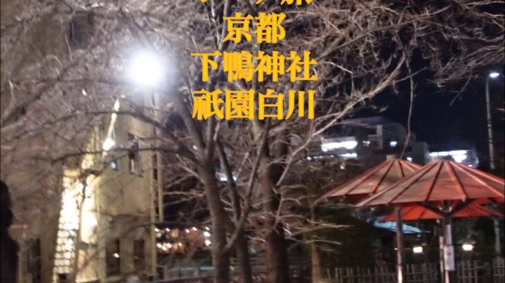 シニアの下鴨神社　祇園白川